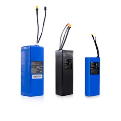 الیکٹرک سکوٹر بیٹری